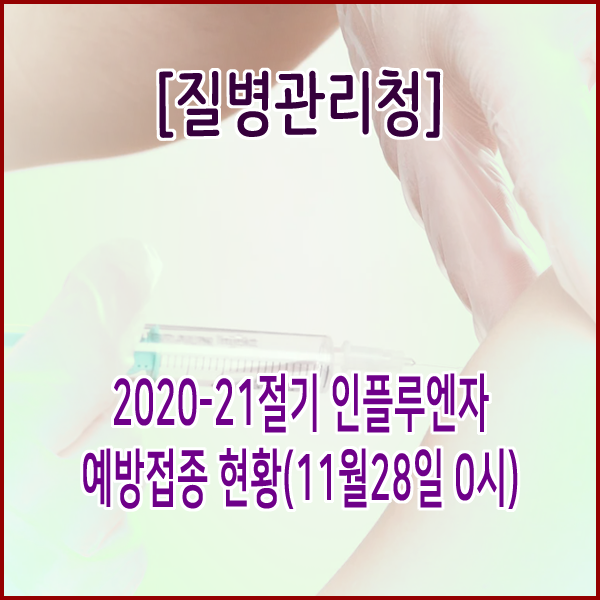 [질병관리청] 2020-21절기 인플루엔자 예방접종 현황(11월28일 0시)