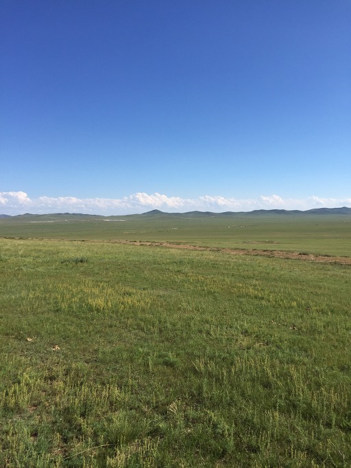 가슴이 뻥 뚫리는 몽골의 대평원 - 2016 몽골 여행 6