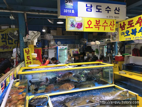 마포농수산물시장 남도수산 대방어회