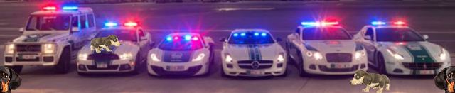 입이 쩍 벌어지는 두바이 경찰 자동차 컬렉션