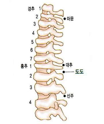 13. 도도(陶道) - 신천침법 상봉경희한의원