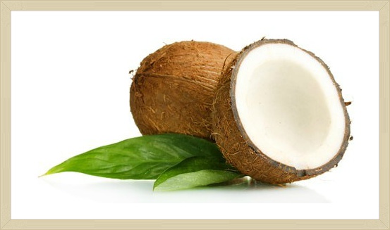 코코넛 오일의 효틍과 다이어트/ ココナッツ・オイルがダイエットに効果的な理由