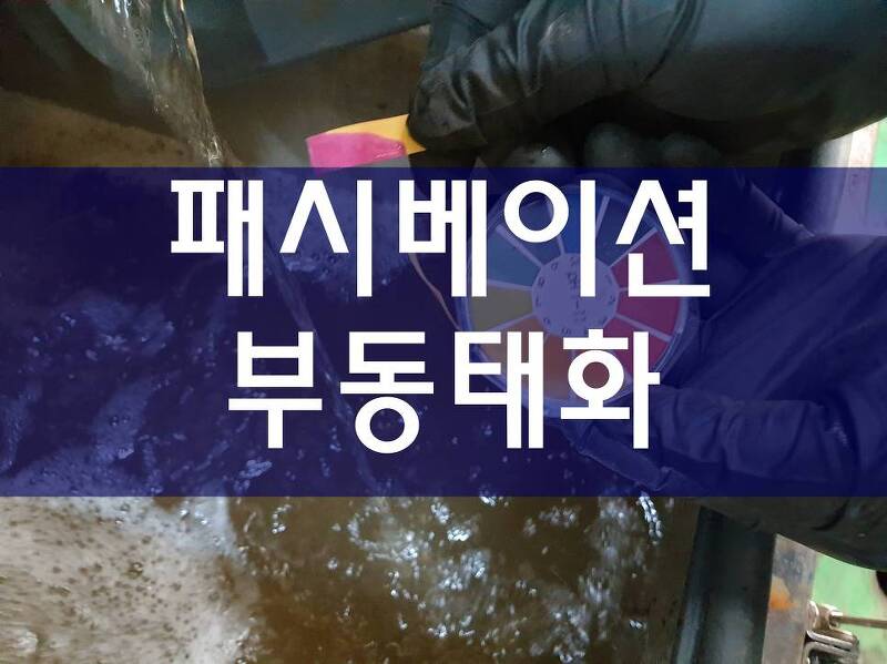 PASSIVATION 부동태화 신설 배관 공사 후기