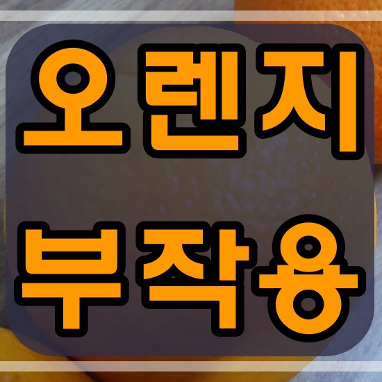 오렌지 효능도 좋지만 부작용도 알고 먹어야죠?