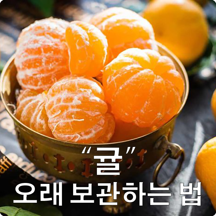 귤에 모든것(보관법/귤 고르기/귤껍질 활용법)