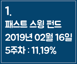 1. 패스트 스윙 펀드 2019-02-16 5주차 : 11.19%