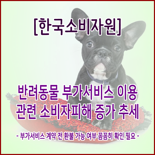 [한국소비자원] 반려동물 부가서비스 이용 관련 소비자피해 증가 추세