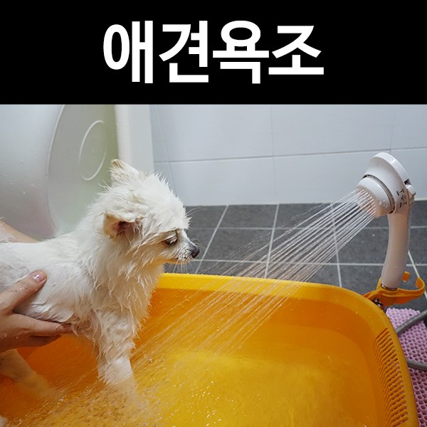 아이리스 강아지 욕조로 편안하게 목욕시키세요