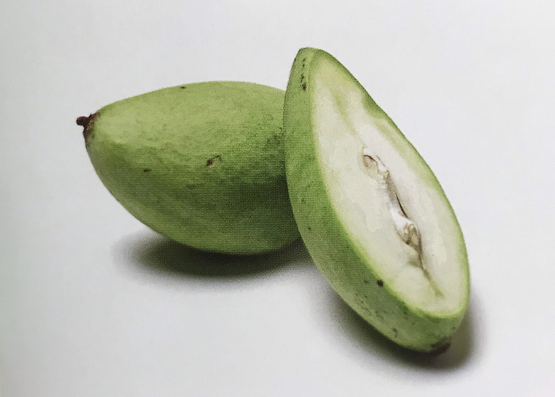 [그린망고]Green Mango [알폰소망고]Alphonso Mango