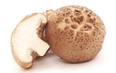 버섯계의 귀족 표고버섯 효능