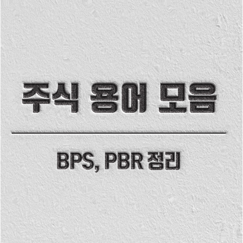 [주식 용어 모음] BPS, PBR 정리