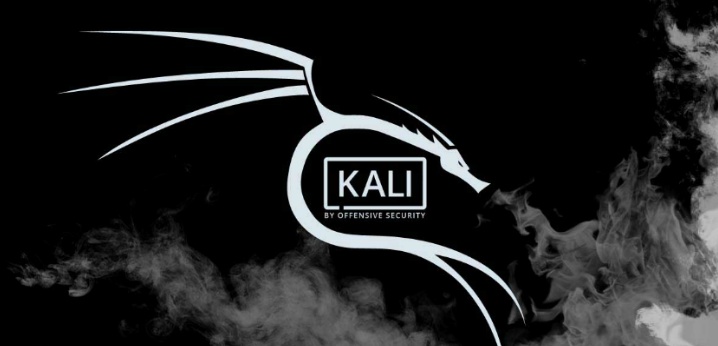 [Kali Linux] Kali Linux Update Error