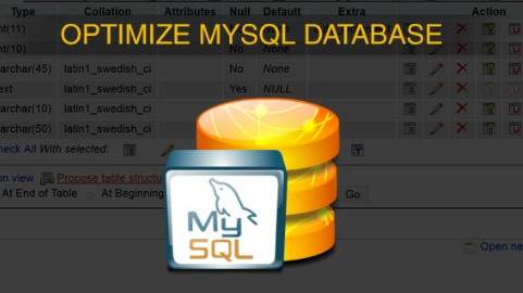 MySQL DB Table OPTIMIZE 저장 공간 줄이기 (Storage Shrink 처리)