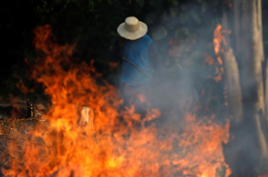 아마존 화재 현재상황은?