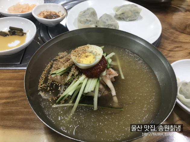 울산 시청 근처 냉면/만두 맛집, 신정동 송원칡냉면!