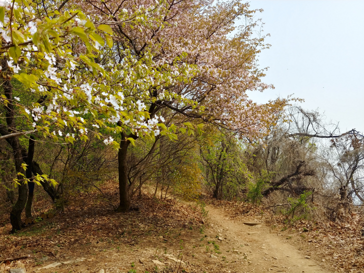 서울둘레길의 한구간인 우면산 등산코스,봄나들이 굿^^