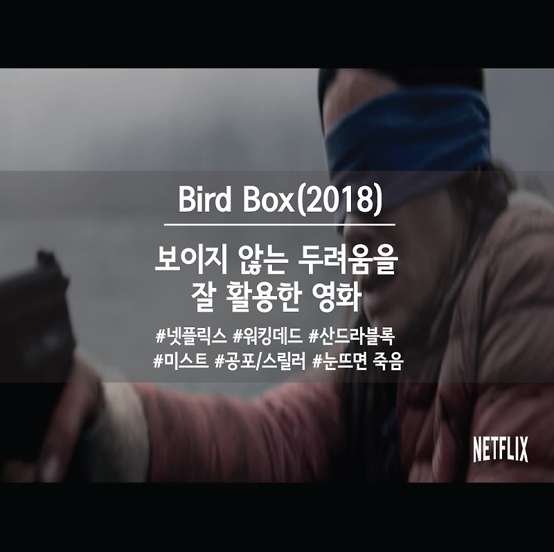 [영화리뷰] 넷플릭스 영화 추천 버드박스(Bird Box 2018) 해석 및 리뷰 이야~~