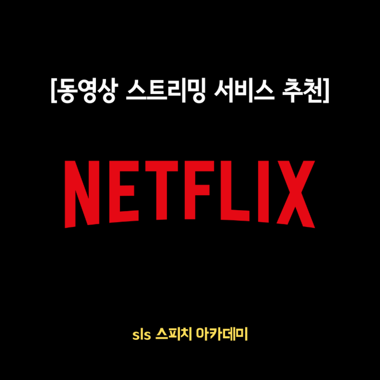 동영상 스트리밍 서비스 추천 : 넷플릭스 (Netflix)