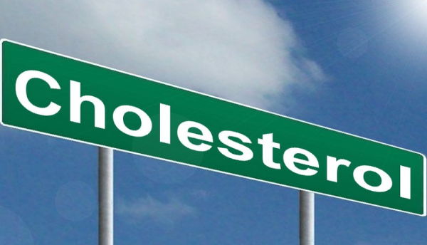 HDL 콜레스테롤 이란 LDL과 다른 콜레스테롤