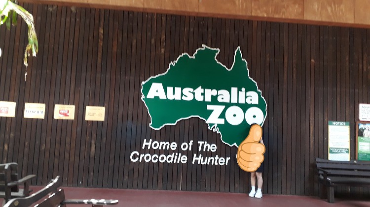 호주 동물원 캥거루