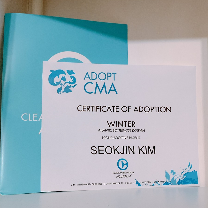 방탄소년단 진 | Seokjin Fansite Adopted Dolphin Under Kim Seokjin Name 좋네요