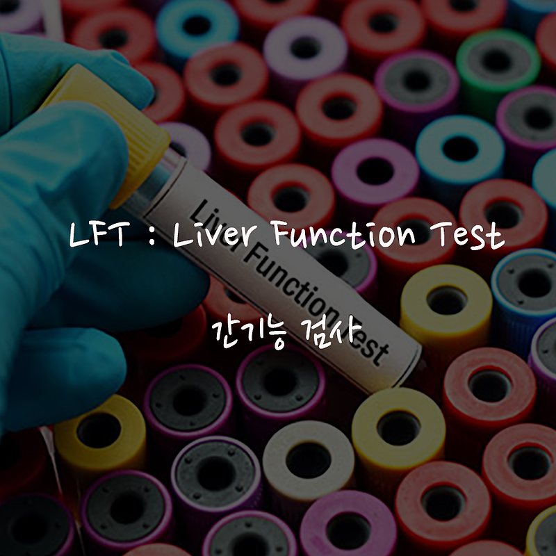 간기능 검사(LFT : Liver Fuction Test)에 대해서. 간 정상 알아봐요