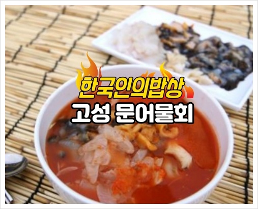 한국인의밥상 고성 문어물회 파는곳
