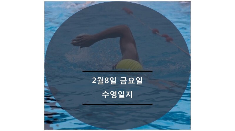 2019년 살빼기 운동 / 2월8일 수영일지