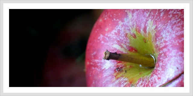 사과 다이어트로두드러기를 치료하는 방법