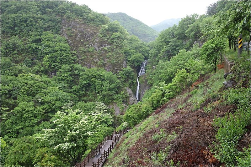 안동 용한점집 유명한점집 경북도청점집 도연산당 위봉폭포 기도