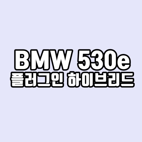 BMW 플러그인 하이브리드(PHEV) 530e