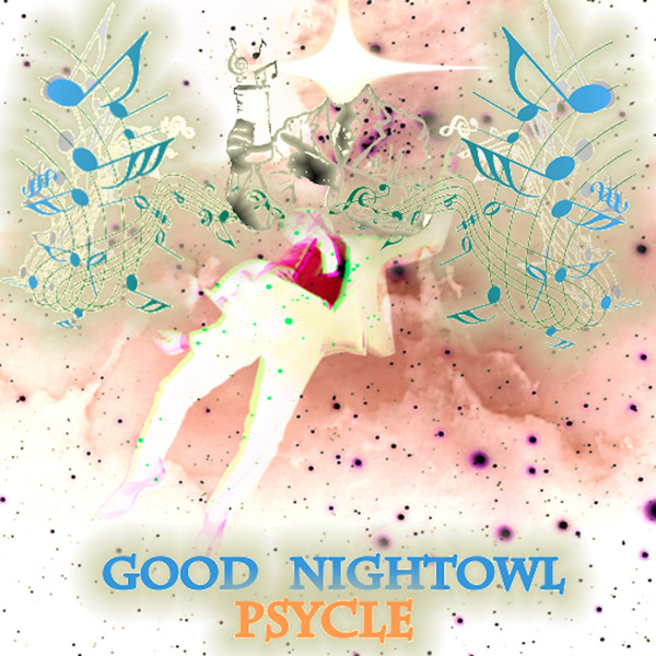 Good NightOwl - 