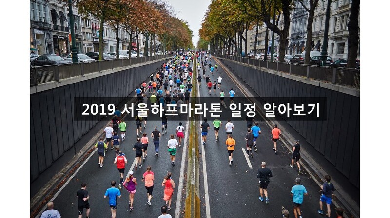 [마라톤 정보] 2019 서울하프마라톤 일정 알아보기