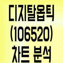 블록체인테마주 디지탈옵틱(106520) 리스크 업 ↑