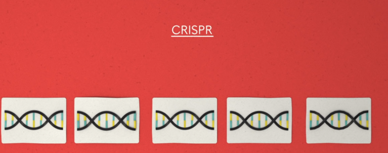How CRISPR lets you edi 좋구만