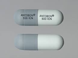 안코본(Ancobon)의 효능과 복용법, 주의할 점은?