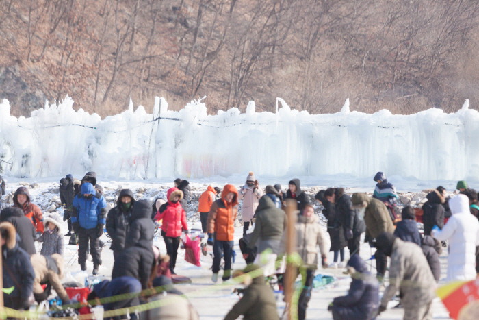 국내 겨울 여행지 추천 : 빙어 축제