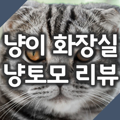우드펠렛 고양이화장실 추천 냥토모 리뷰
