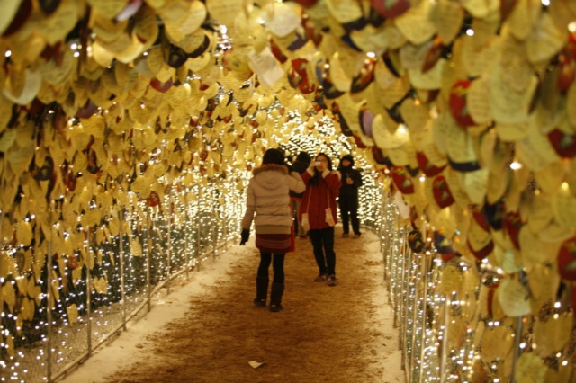 보성차밭 빛 축제, 은하수터널에 매달린 소망카드를 보면서