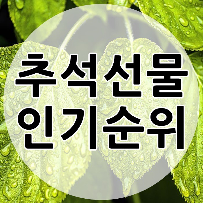 추석선물 인기순위 TOP10 알려드려요~!