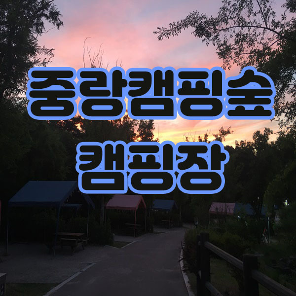 중랑캠핑숲 캠핑장 후기(feat.시설소개 / 예약 및 이용안내)
