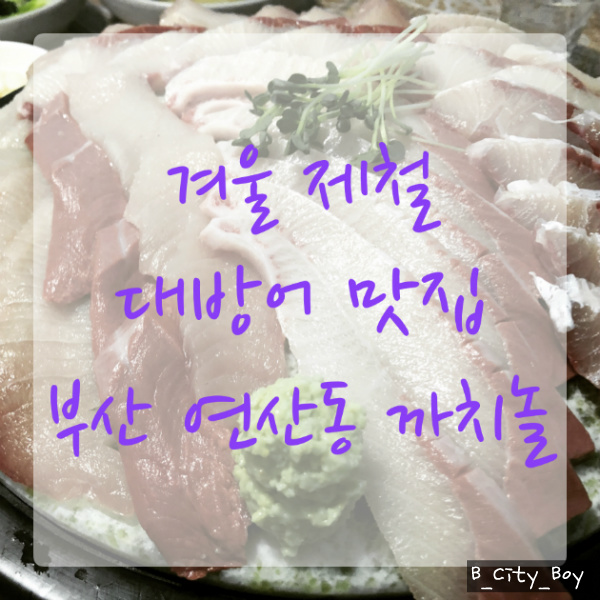 [부산 연산동 까치놀 횟집] 겨울 제철 음식 대방어 맛집 소개