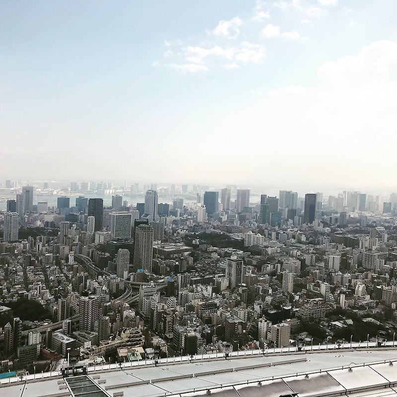 도쿄 하늘 보기 - 롯본기 힐스 모리타워 (일본여행 3)