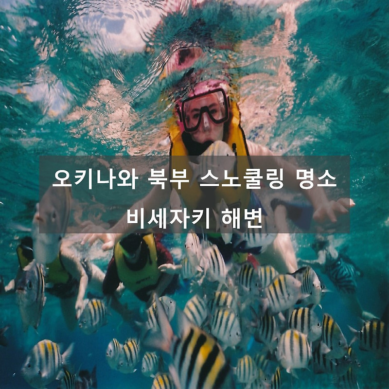 일본 오키나와 북부지역 스노쿨링 명소 비세자키 해변