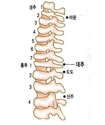 14. 대추(大椎) - 신천침법 상봉경희한의원