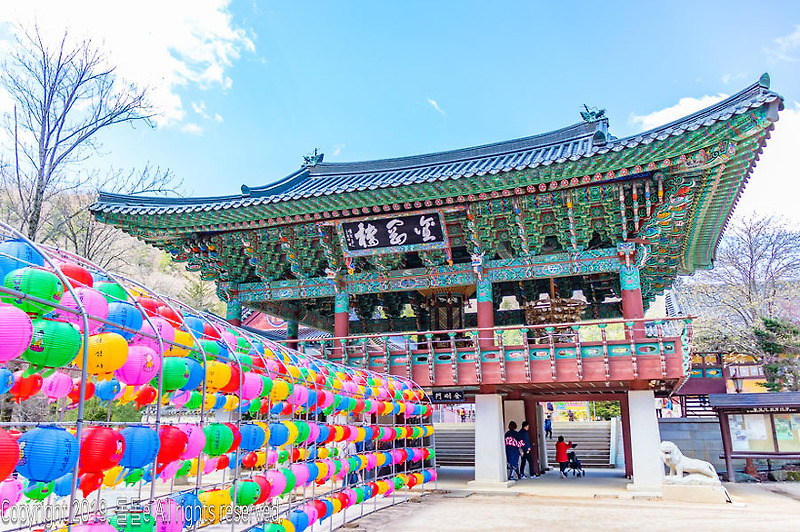 평창 가볼만한곳 평창 여행코스로 좋은 오대산 전나무숲길, 오대산 월정사 입장료