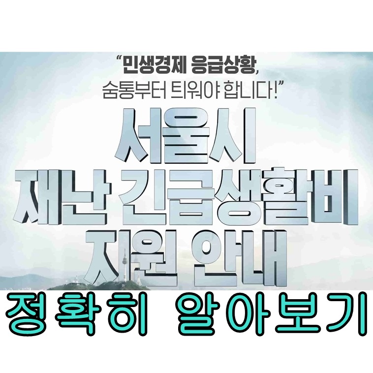 서울시 재난긴급생활비 신청방법 신청기준 신청자격 알아보기