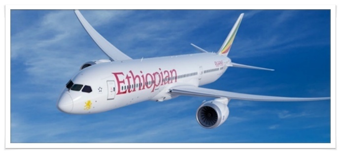 에티오피아 항공 157명 추락사