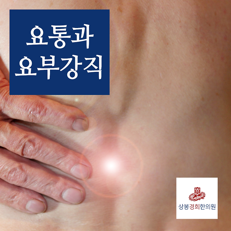 요통(腰痛)과 요부강직(腰部强直) 상봉동한의원