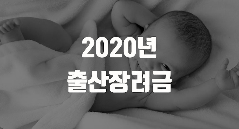 아이사랑보육포탈에서 2020년 출산장려금 확인하고 혜택받자